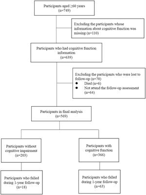 The direct and mediating effects of cognitive impairment on the occurrence of falls: a cohort study based on community-dwelling old adults